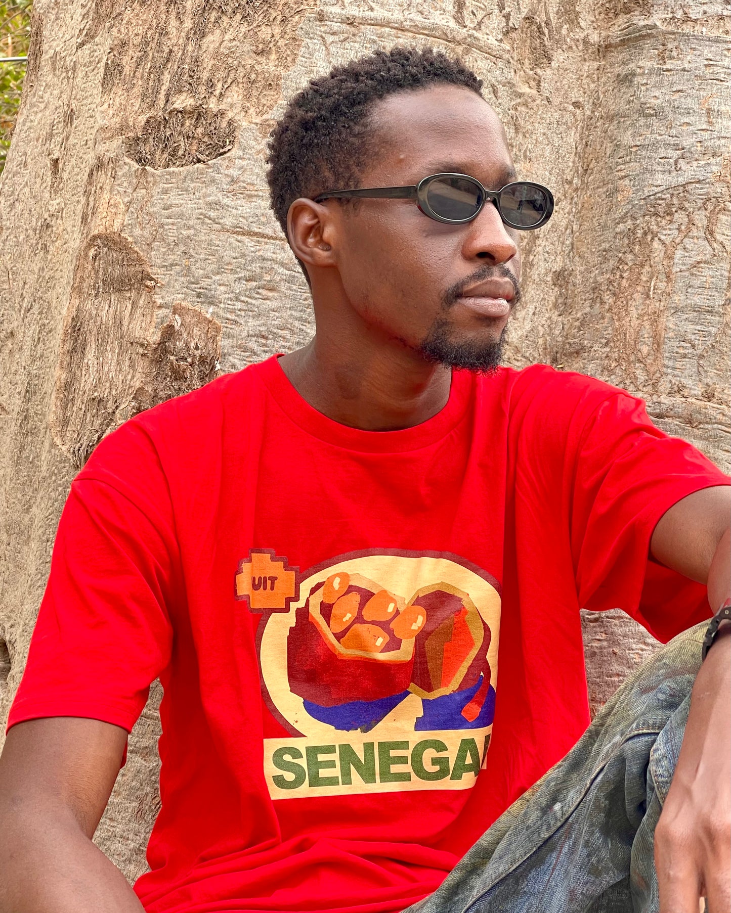 Fruit Senegal Tee x Bravo